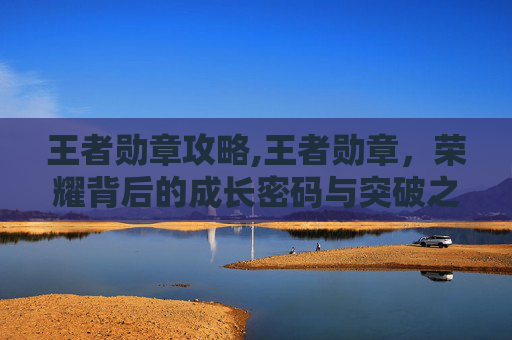 王者勋章攻略,王者勋章，荣耀背后的成长密码与突破之道