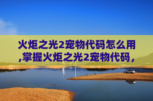 火炬之光2宠物代码怎么用,掌握火炬之光2宠物代码，让你的冒险之旅更加精彩