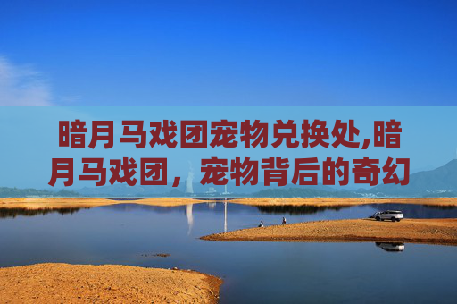 暗月马戏团宠物兑换处,暗月马戏团，宠物背后的奇幻与隐忧