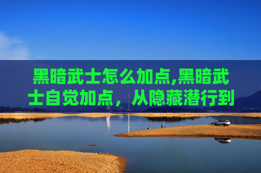 黑暗武士怎么加点,黑暗武士自觉加点，从隐藏潜行到策略博弈的蜕变之路