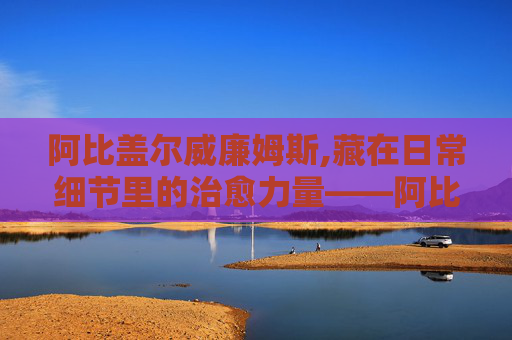 阿比盖尔威廉姆斯,藏在日常细节里的治愈力量——阿比盖尔的微小叙事与精神共鸣