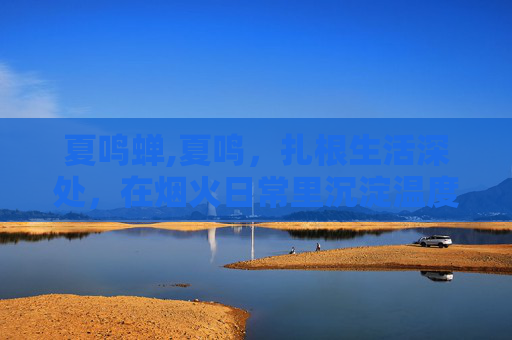 夏鸣蝉,夏鸣，扎根生活深处，在烟火日常里沉淀温度