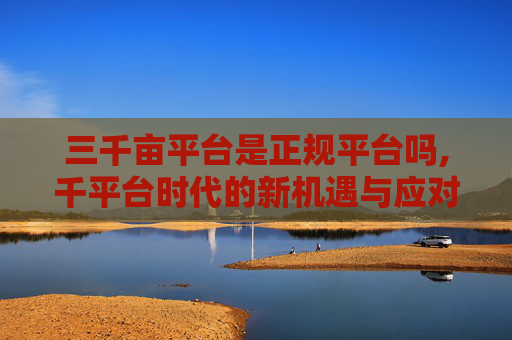 三千亩平台是正规平台吗,千平台时代的新机遇与应对，破局发展难题，开启核心竞争力建设