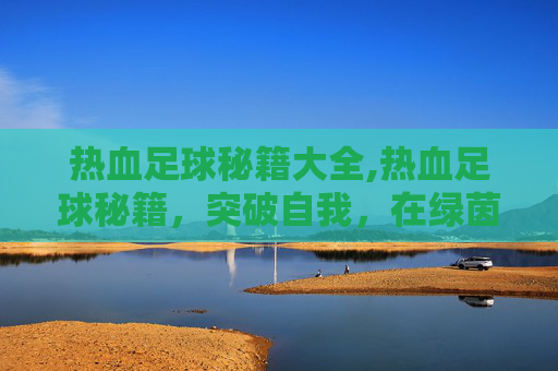热血足球秘籍大全,热血足球秘籍，突破自我，在绿茵场掀起属于你的激烈风暴