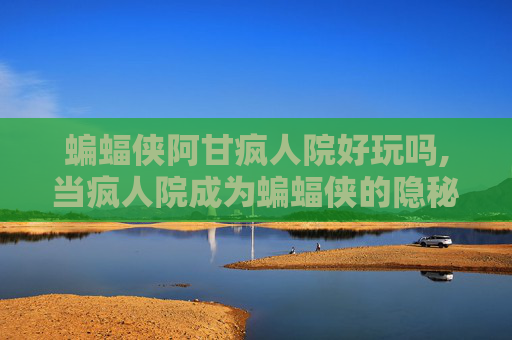 蝙蝠侠阿甘疯人院好玩吗,当疯人院成为蝙蝠侠的隐秘战场，人性博弈与困境重重尽现