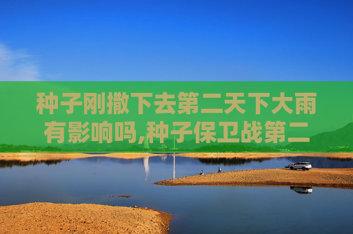 种子刚撒下去第二天下大雨有影响吗,种子保卫战第二天，多维对抗，重塑种子生态新格局