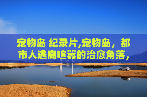 宠物岛 纪录片,宠物岛，都市人逃离喧嚣的治愈角落，给毛孩子一个专属温暖天地