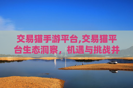 交易猫手游平台,交易猫平台生态洞察，机遇与挑战并存下的新路径探索