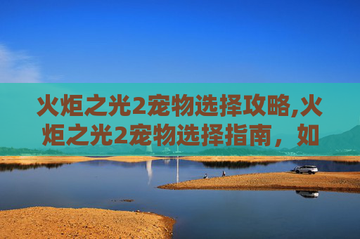 火炬之光2宠物选择攻略,火炬之光2宠物选择指南,如何挑选最适合你的伙伴?