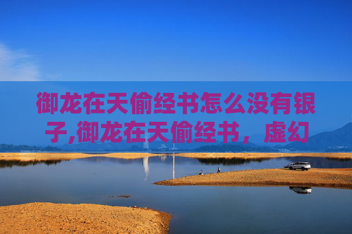 御龙在天偷经书怎么没有银子,御龙在天偷经书，虚幻冒险背后的警示与反思