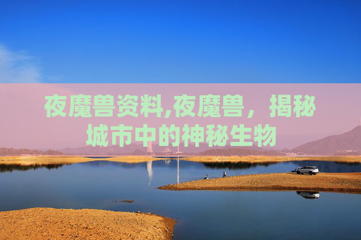 夜魔兽资料,夜魔兽，揭秘城市中的神秘生物