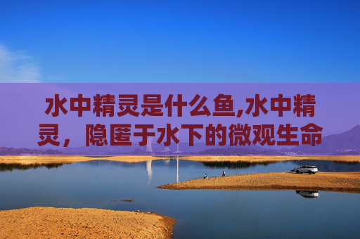 水中精灵是什么鱼,水中精灵，隐匿于水下的微观生命，释放多元共生与生态启示