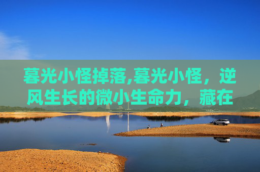 暮光小怪掉落,暮光小怪，逆风生长的微小生命力，藏在每个被忽略的光亮里