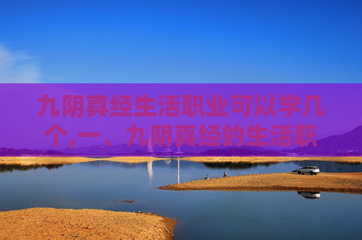 九阴真经生活职业可以学几个,一、九阴真经的生活职业概述