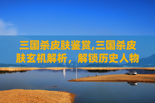 三国杀皮肤鉴赏,三国杀皮肤玄机解析，解锁历史人物的全新演绎，探索游戏设计的巧思与深度