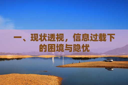一、现状透视，信息过载下的困境与隐忧