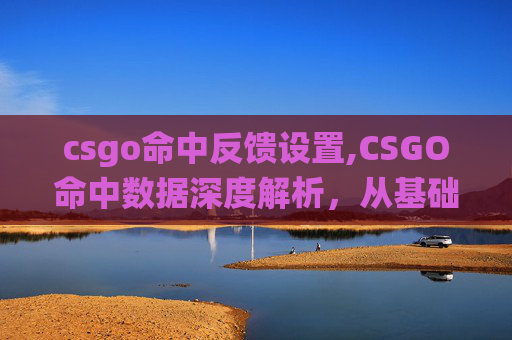 csgo命中反馈设置,CSGO命中数据深度解析，从基础统计到战术应用的全面解读