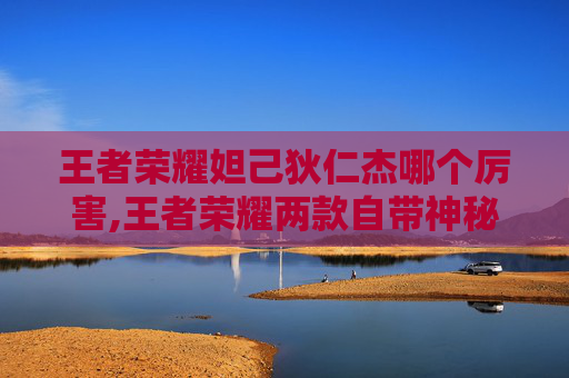 王者荣耀妲己狄仁杰哪个厉害,王者荣耀两款自带神秘属性的大神，妲己与狄仁杰的魅力解读与操作揭秘