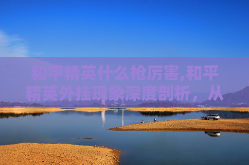 和平精英什么枪厉害,和平精英外挂现象深度剖析，从危害到应对，全方位解读其负面影响与整治举措