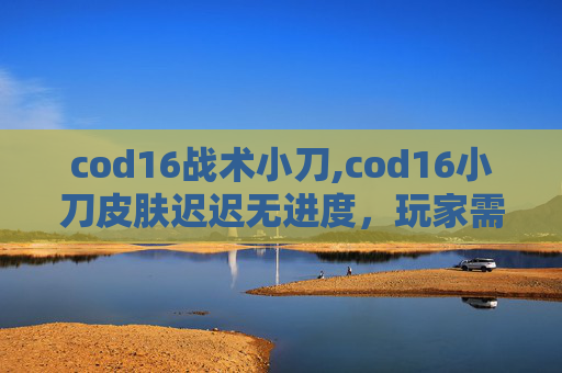 cod16战术小刀,cod16小刀皮肤迟迟无进度，玩家需掌握应对策略与时间规划