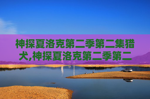 神探夏洛克第二季第二集猎犬,神探夏洛克第二季第二集，揭秘与真相的较量
