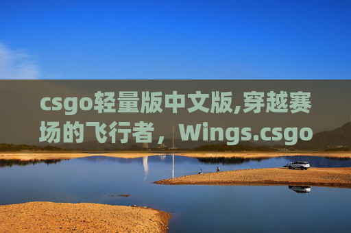 csgo轻量版中文版,穿越赛场的飞行者，Wings.csgo全维度解析与实战指南