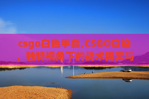 csgo白色手套,CSGO白染，独特视角下的战术博弈与战场解析