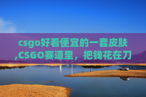 csgo好看便宜的一套皮肤,CSGO赛道里，把钱花在刀刃上，3款便宜又好看的枪，平民也能玩的捡漏神器