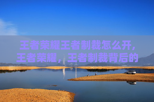 王者荣耀王者制裁怎么开,王者荣耀，王者制裁背后的规则博弈与玩家趋势洞察