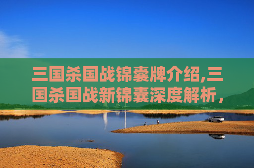 三国杀国战锦囊牌介绍,三国杀国战新锦囊深度解析，玩法创新、策略升级与游戏发展新方向