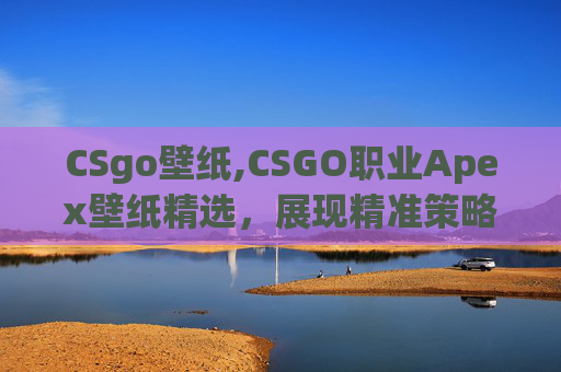 CSgo壁纸,CSGO职业Apex壁纸精选，展现精准策略下的完美战场视觉效果