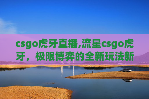 csgo虎牙直播,流星csgo虎牙，极限博弈的全新玩法新篇章