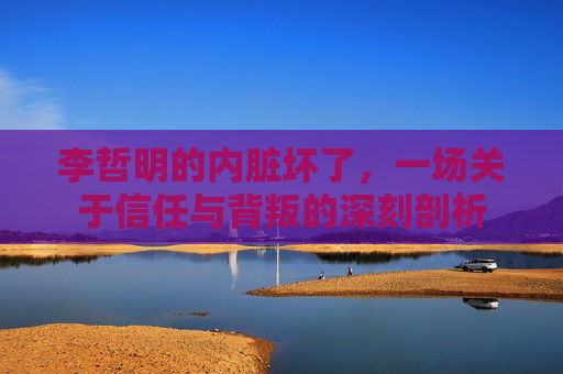 李哲明的内脏坏了,一场关于信任与背叛的深刻剖析