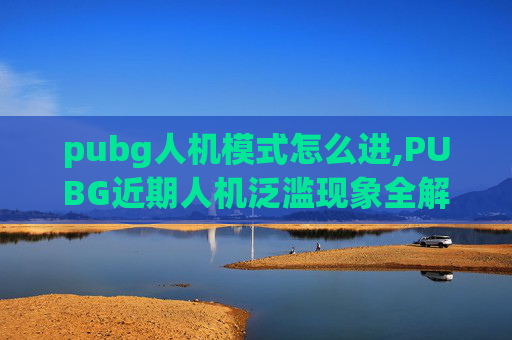 pubg人机模式怎么进,PUBG近期人机泛滥现象全解，影响机制、应对策略与防范要点