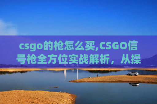 csgo的枪怎么买,CSGO信号枪全方位实战解析，从操作技巧到实战应用，助力你精准控场