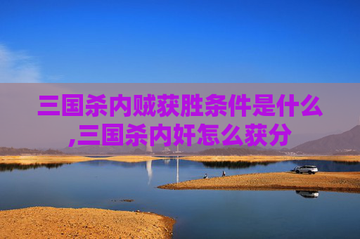 三国杀内贼获胜条件是什么,三国杀内奸怎么获分
