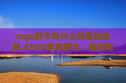 csgo野牛有什么好看的皮肤,CSGO里看野牛，解锁枪法与心态的双重宝藏