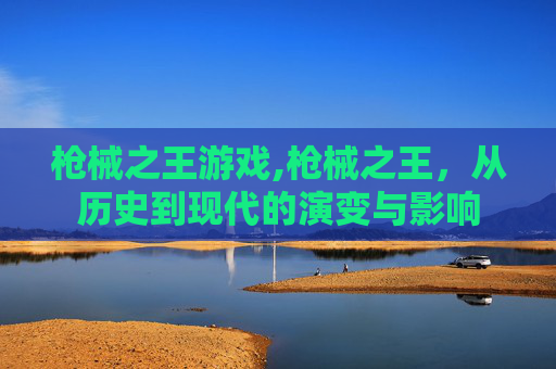 枪械之王游戏,枪械之王，从历史到现代的演变与影响