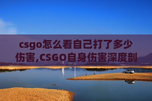 csgo怎么看自己打了多少伤害,CSGO自身伤害深度剖析，从机制到问题，全面解读对玩家体验的冲击