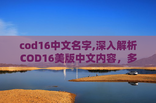 cod16中文名字,深入解析COD16美版中文内容，多元视角解读游戏体验