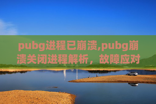 pubg进程已崩溃,pubg崩溃关闭进程解析，故障应对与系统优化策略全指南