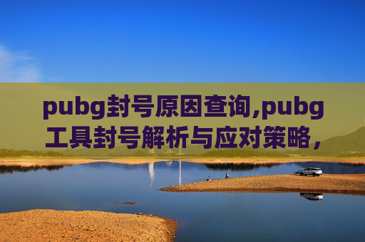 pubg封号原因查询,pubg工具封号解析与应对策略，避坑指南与安全指南