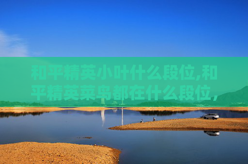 和平精英小叶什么段位,和平精英菜鸟都在什么段位，从新手到老手的突围之路