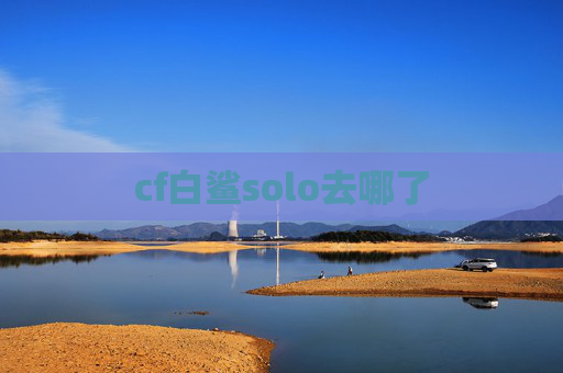 cf白鲨solo去哪了