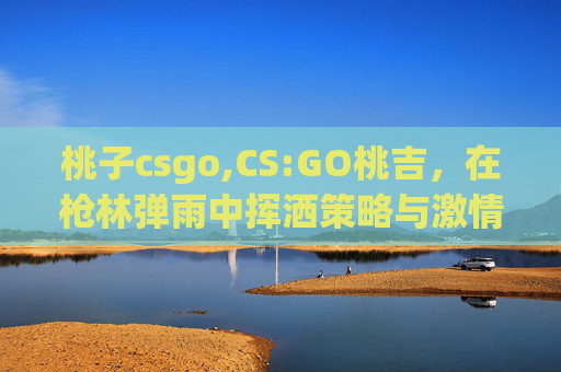 桃子csgo,CS:GO桃吉，在枪林弹雨中挥洒策略与激情的竞技新视角