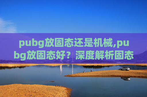 pubg放固态还是机械,pubg放固态好？深度解析固态服务器对游戏体验的影响与适配方案