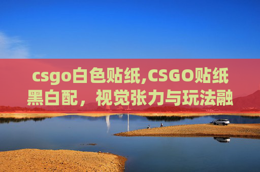 csgo白色贴纸,CSGO贴纸黑白配，视觉张力与玩法融合的绝妙搭配