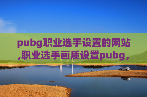 pubg职业选手设置的网站,职业选手画质设置pubg，调出极速视觉，绽放最高竞技状态
