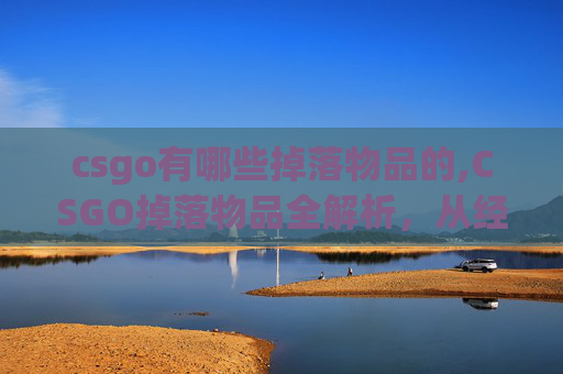 csgo有哪些掉落物品的,CSGO掉落物品全解析，从经典到热门，了解各物品获取价值与影响