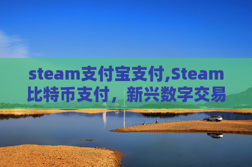 steam支付宝支付,Steam比特币支付，新兴数字交易方式解析与风险警示